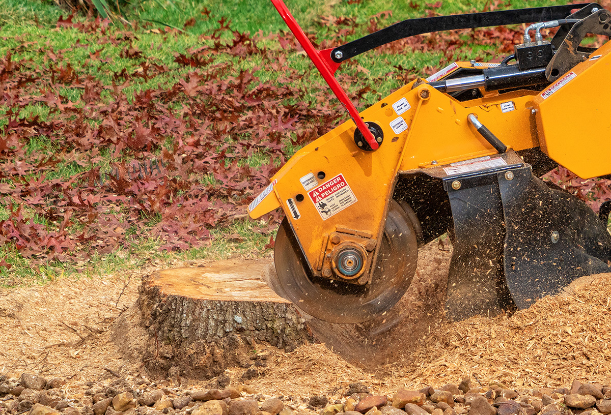 Stump Removal Orange County