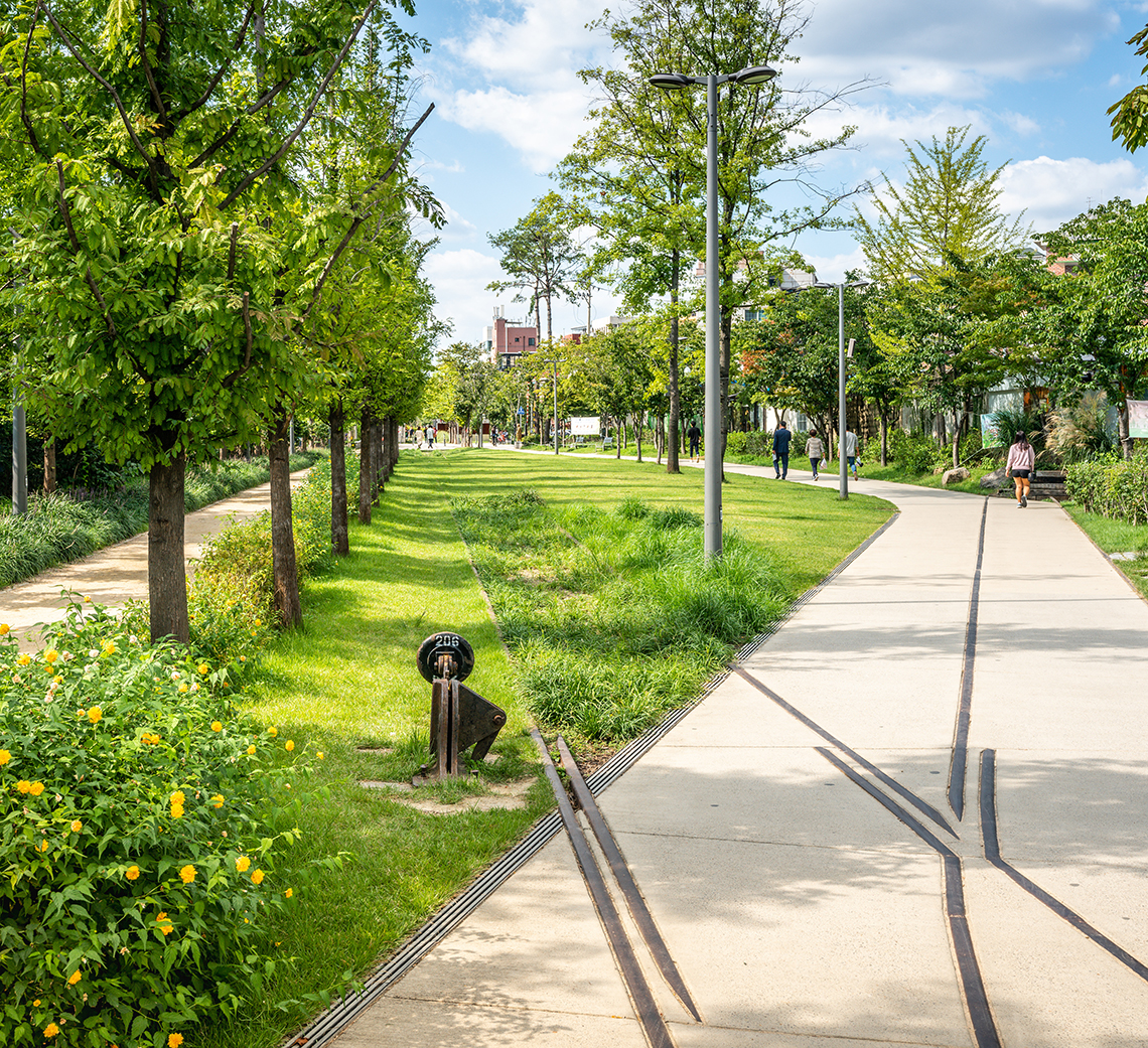 Urban forest in a park showing tree management and inventory